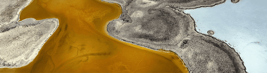 texture nature 2
